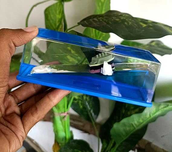 Image description